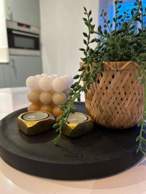 De Boet, Dicht Bij Duinen En Zee Villa Warmenhuizen Екстериор снимка